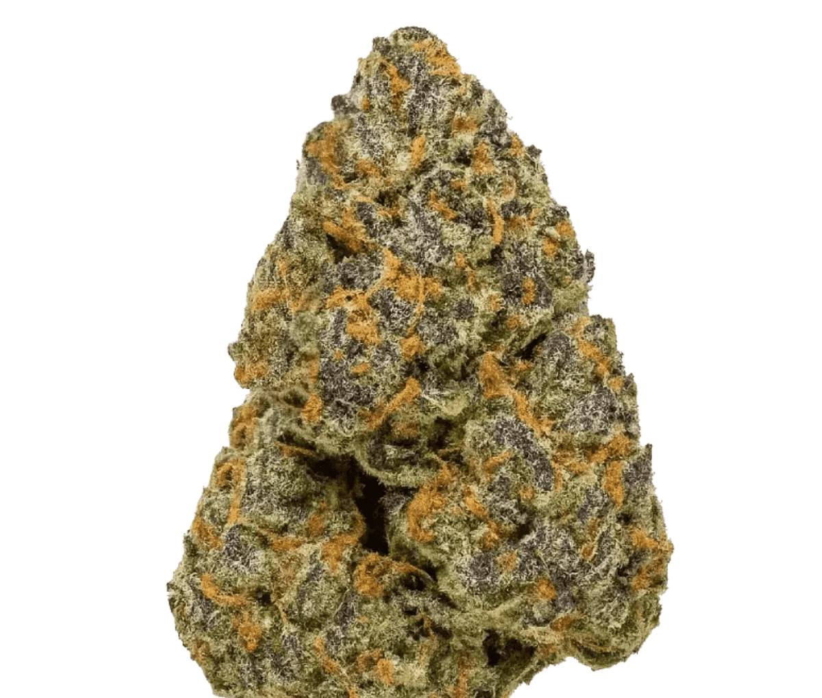 Redecan THC30 BRZ Biscuit RNTZ - Biscuit Rntz I