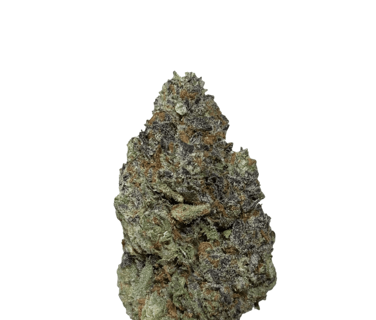 enua 30/1 MMN CA - Marshmallow Man