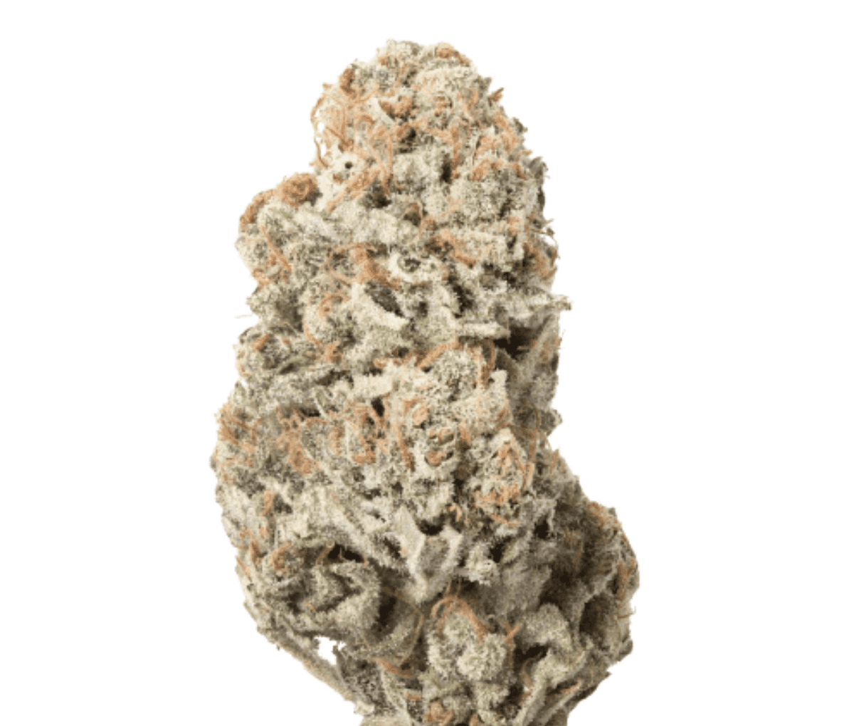 Remexian 21/1 BPU BRB - Big Red Beard