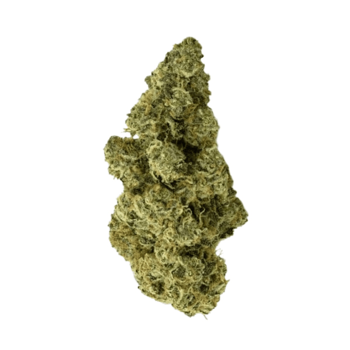 Daily Special 25/1 FUN - Funky Berry
