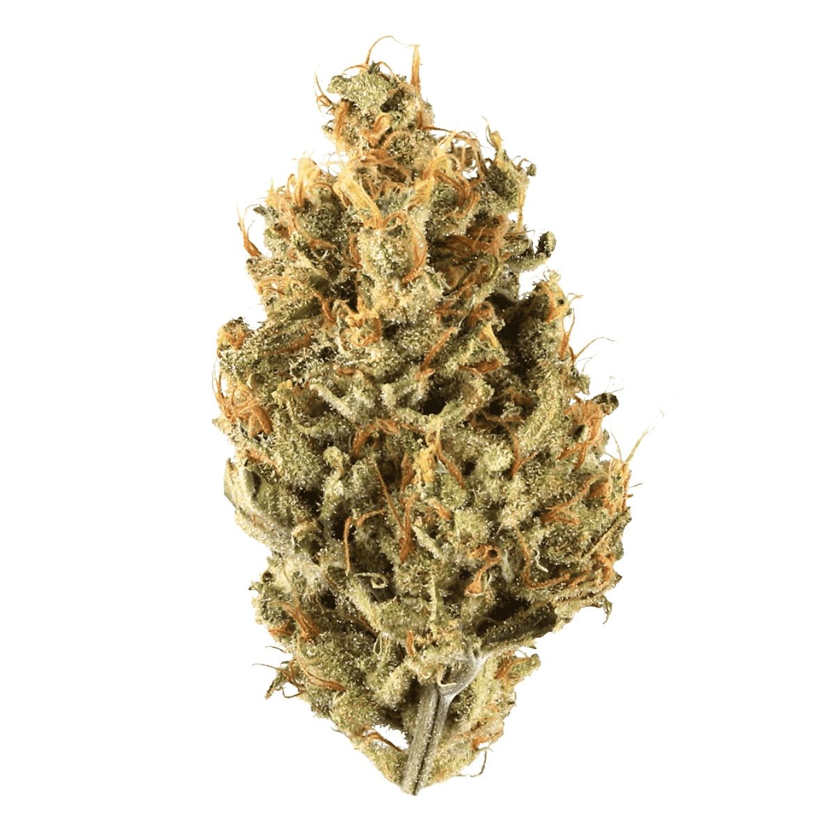 Demecan Core OG 23:01 - OG Kush