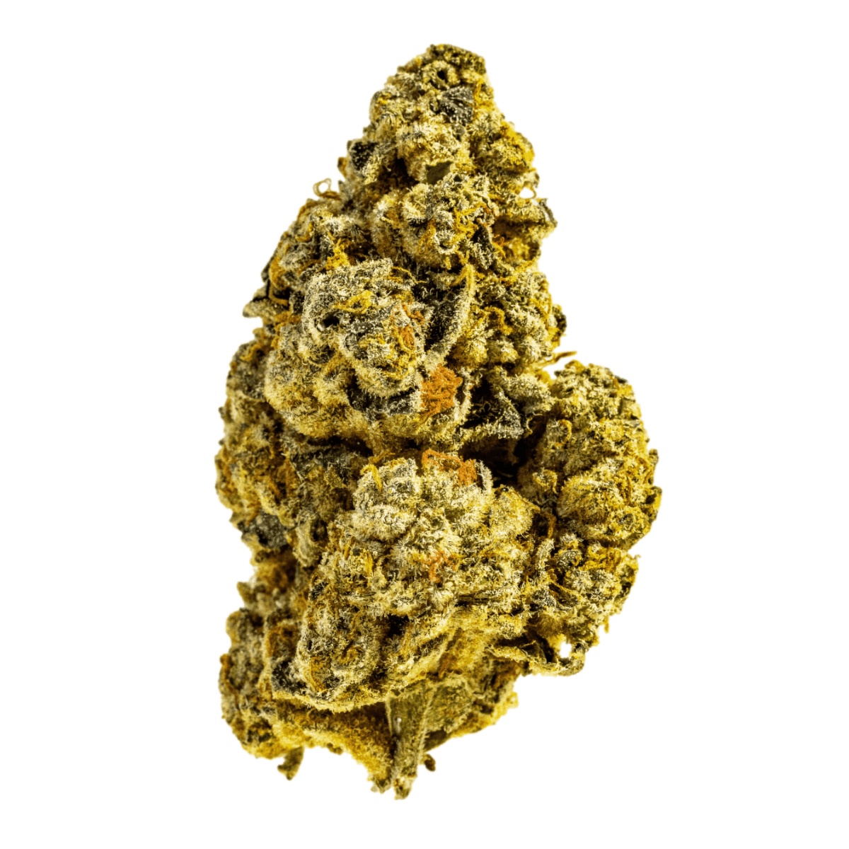 Aphria RX THC25 - Cactus Breath