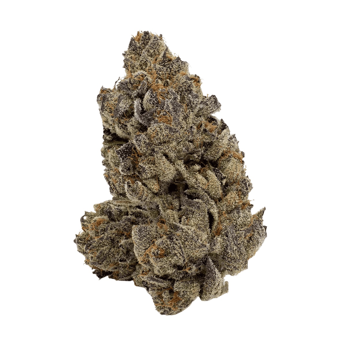 Slouu 22/1 PS3 CA SBS Sugar Berry Sorbet