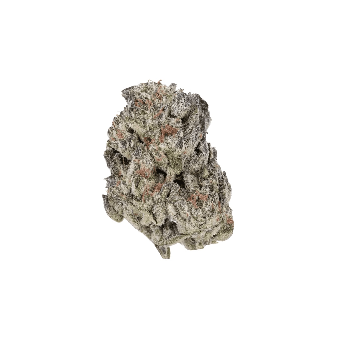 TRUU LX 24:01 - GMO Cookies x Kush Mintz TRUU LX 24:01 - GMO Cookies x Kush Mintz