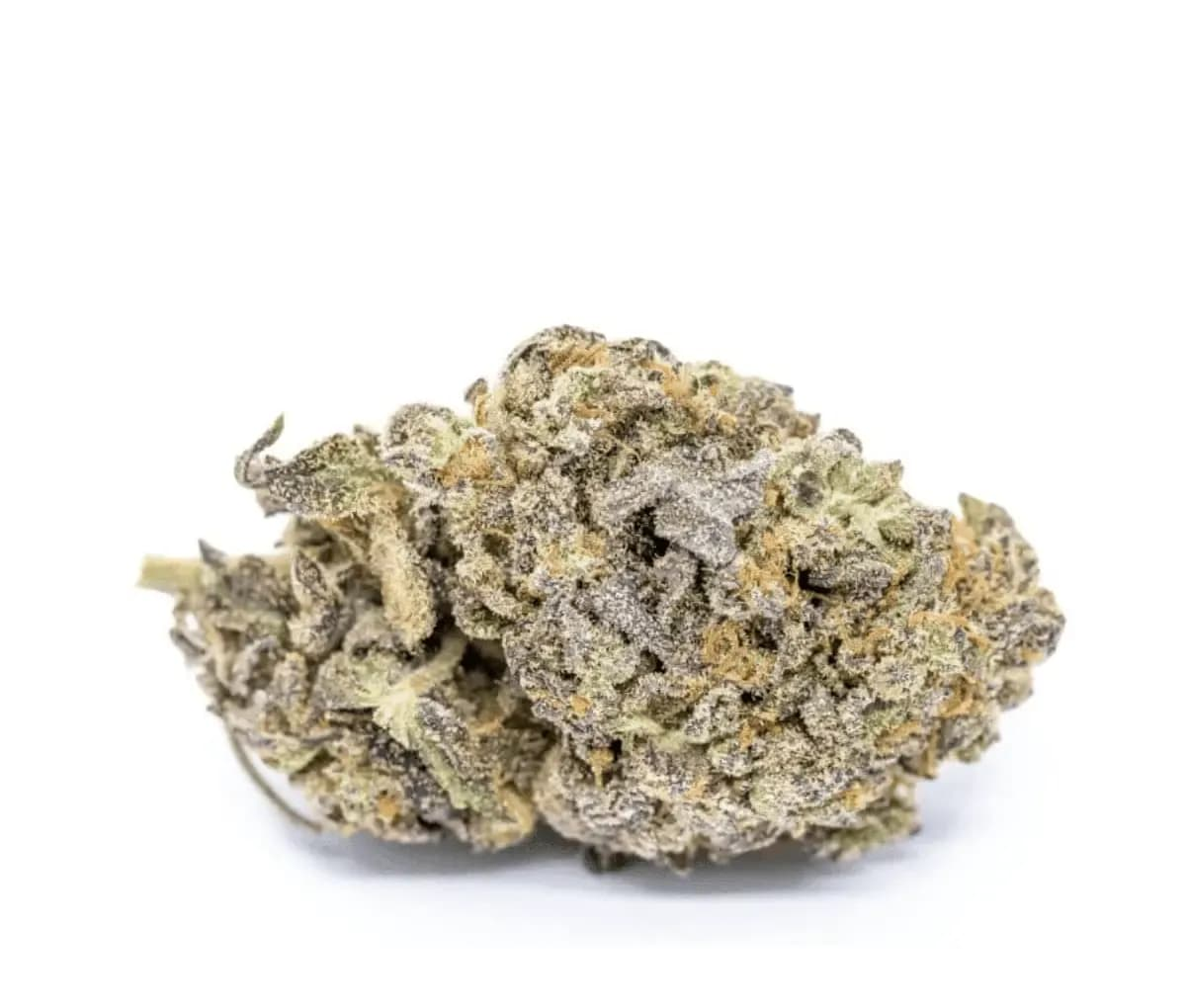 Good Supply Cannabisblüten THC28 SAC - Space Age Cake