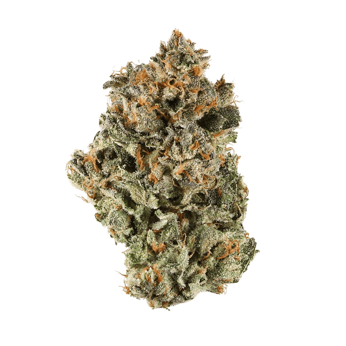 AphriaRX THC25 SNS - Sunset Sherbet AphriaRX THC25 SNS - Sunset Sherbet