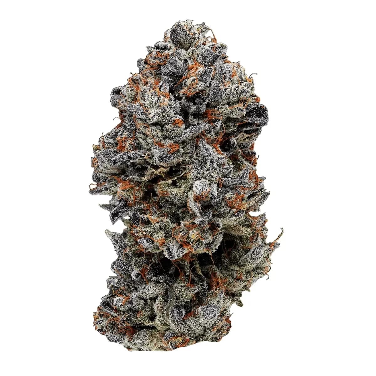 Slouu 33/1 COZ CA - Cookies OZ Slouu 33/1 COZ CA - Cookies OZ