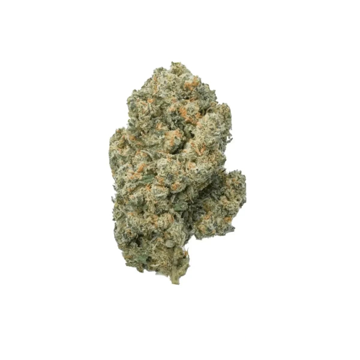 Balancial 24/1 PT S1 JH - Jack Herer