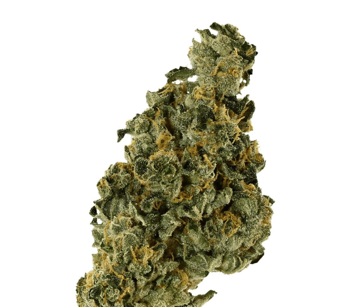 Demecan Core Saxonia 28/01 - Wedding Cake x Jet Fuel Gelato