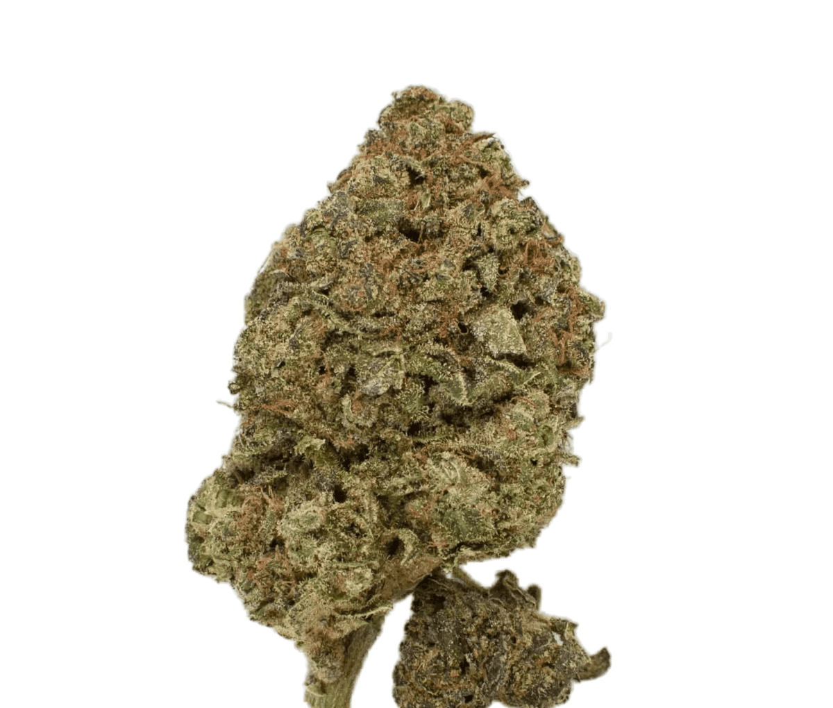enua 33/1 JGF CA - Jungle Fumes