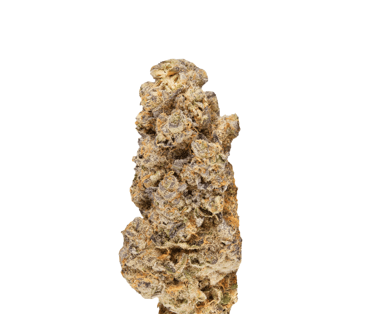 Tilray Craft THC 22 - Cherry Cheesecake