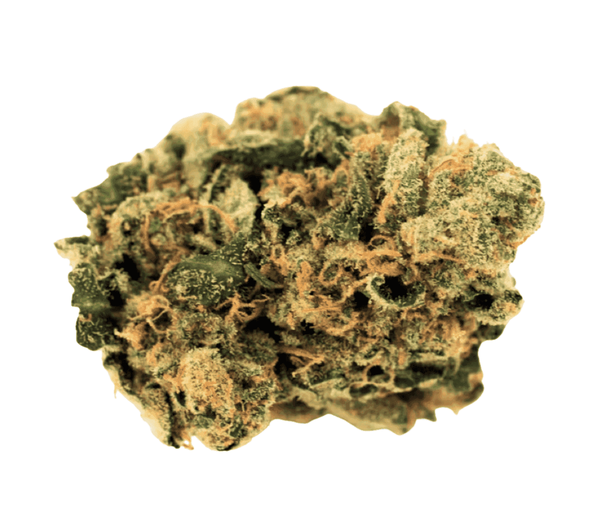 Cannamedical Indica Forte DK - Cookies Kerosene Punch Cannamedical Indica Forte DK - Cookies Kerosene Punch