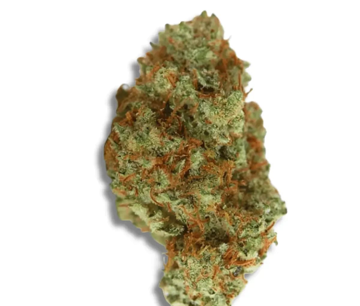 CherryCo 23/01 GOG-K - Gelato OG