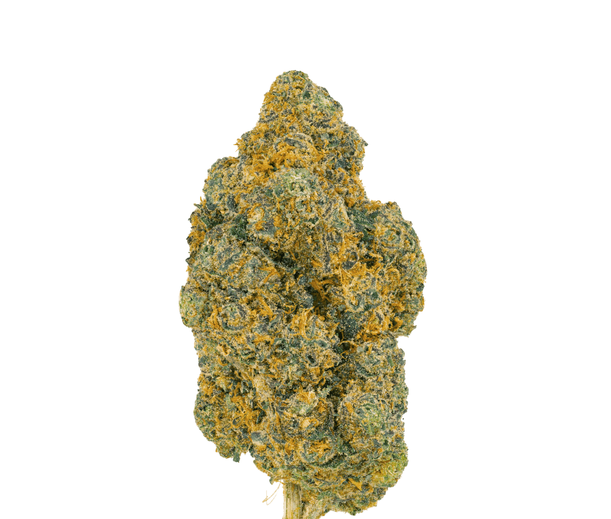 Pedanios 25/1 FLH-CA - Frozen Lemon Haze Pedanios 25/1 FLH-CA - Frozen Lemon Haze