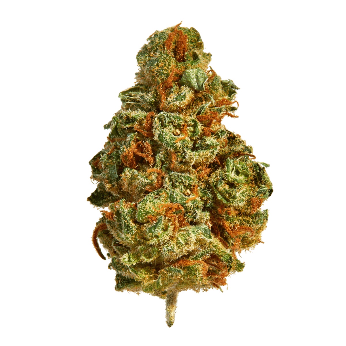 enua 33/1 LHZ CA - Lemonade Haze enua 33/1 LHZ CA - Lemonade Haze