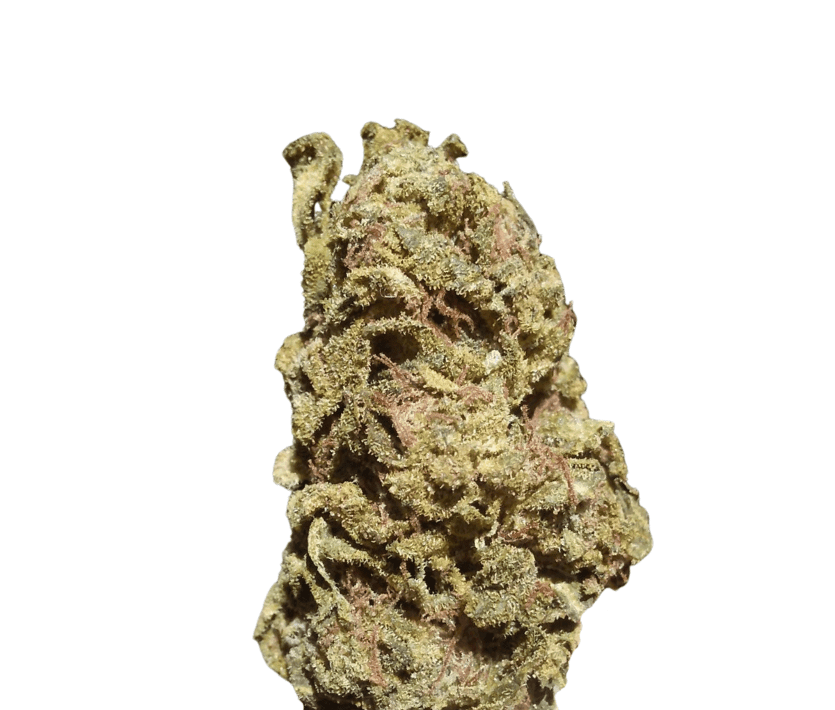 Good Supply Cannabisblüten THC22 SNL - Snow Leopard