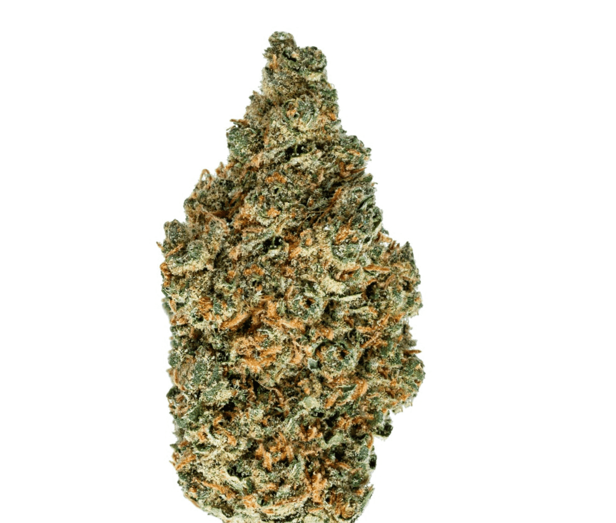 enua 22/1 EG CA Electric Grapefruit