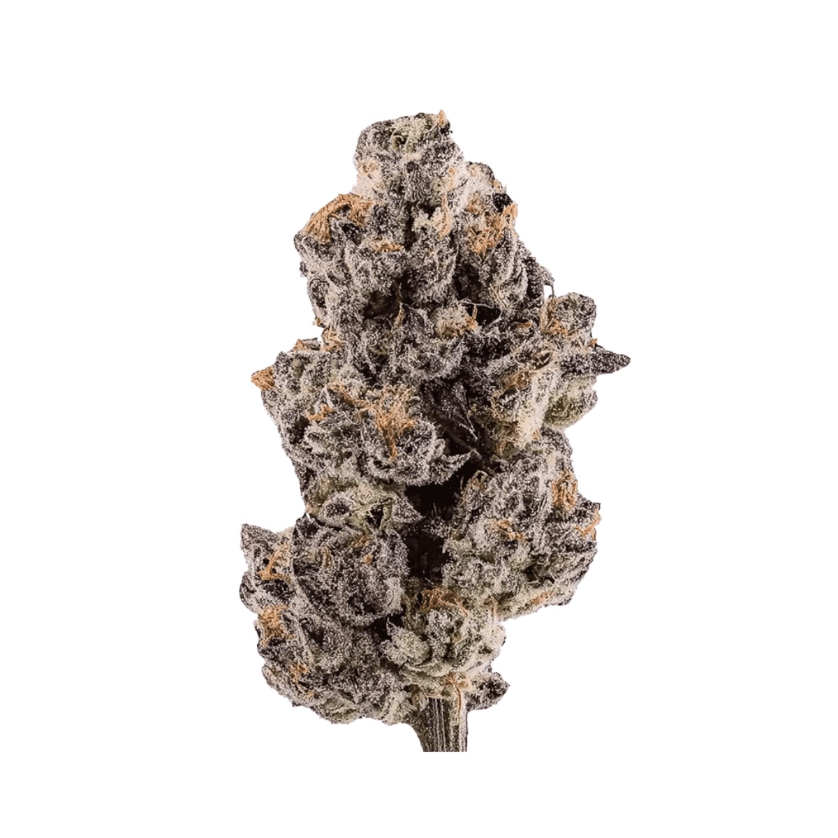 Good Supply THC 15 SPC - Space Cake Good Supply THC 15 SPC - Space Cake