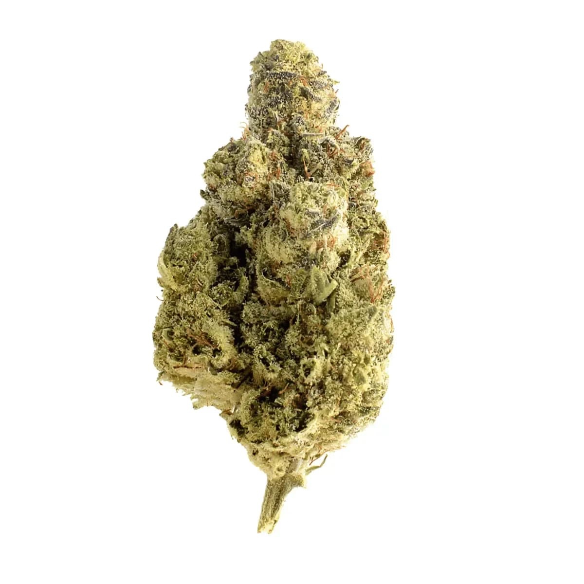 Slouu 25/1 PS3 CA OGK - OG Kush