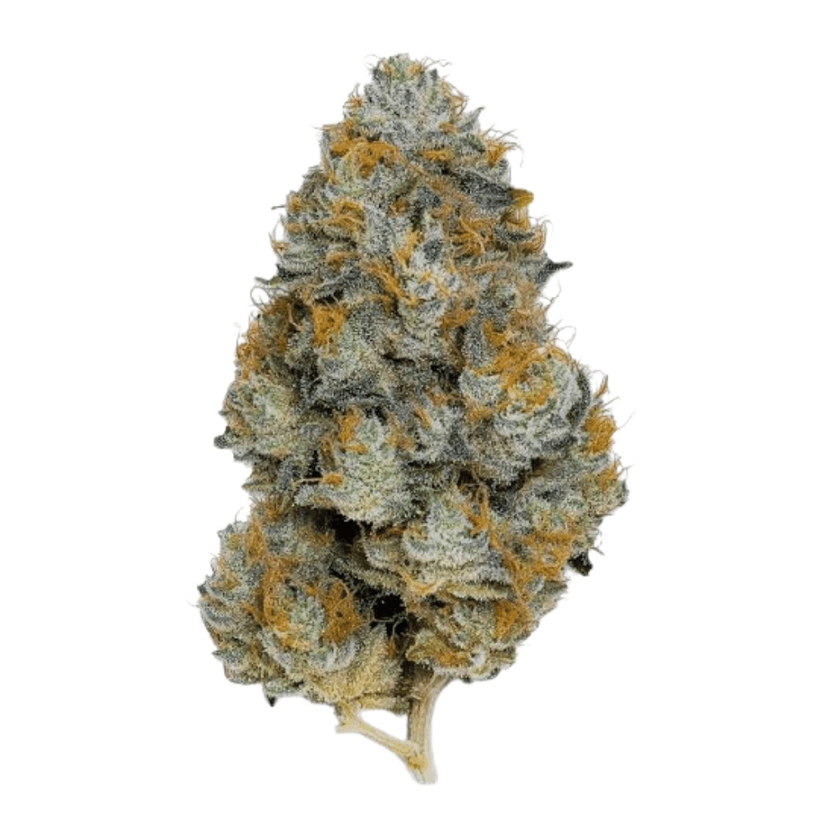 CherryCo THC 25 Sativa - Arctic Gorilla