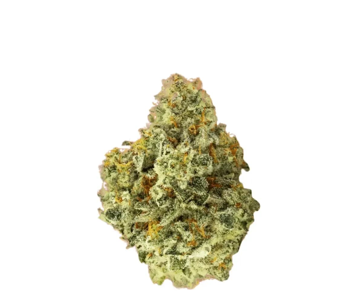 Enua 22/1 SAM CA - Super Alien Mints Enua 22/1 SAM CA - Super Alien Mints