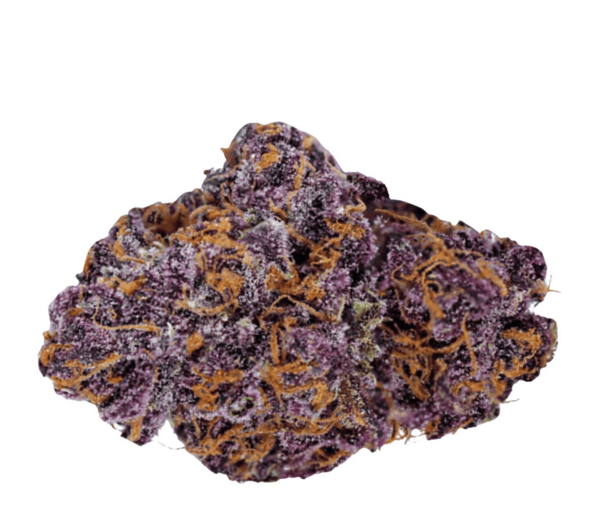 Tilray THC 22 Spotlight Porto Purps Tilray THC 22 Spotlight Porto Purps