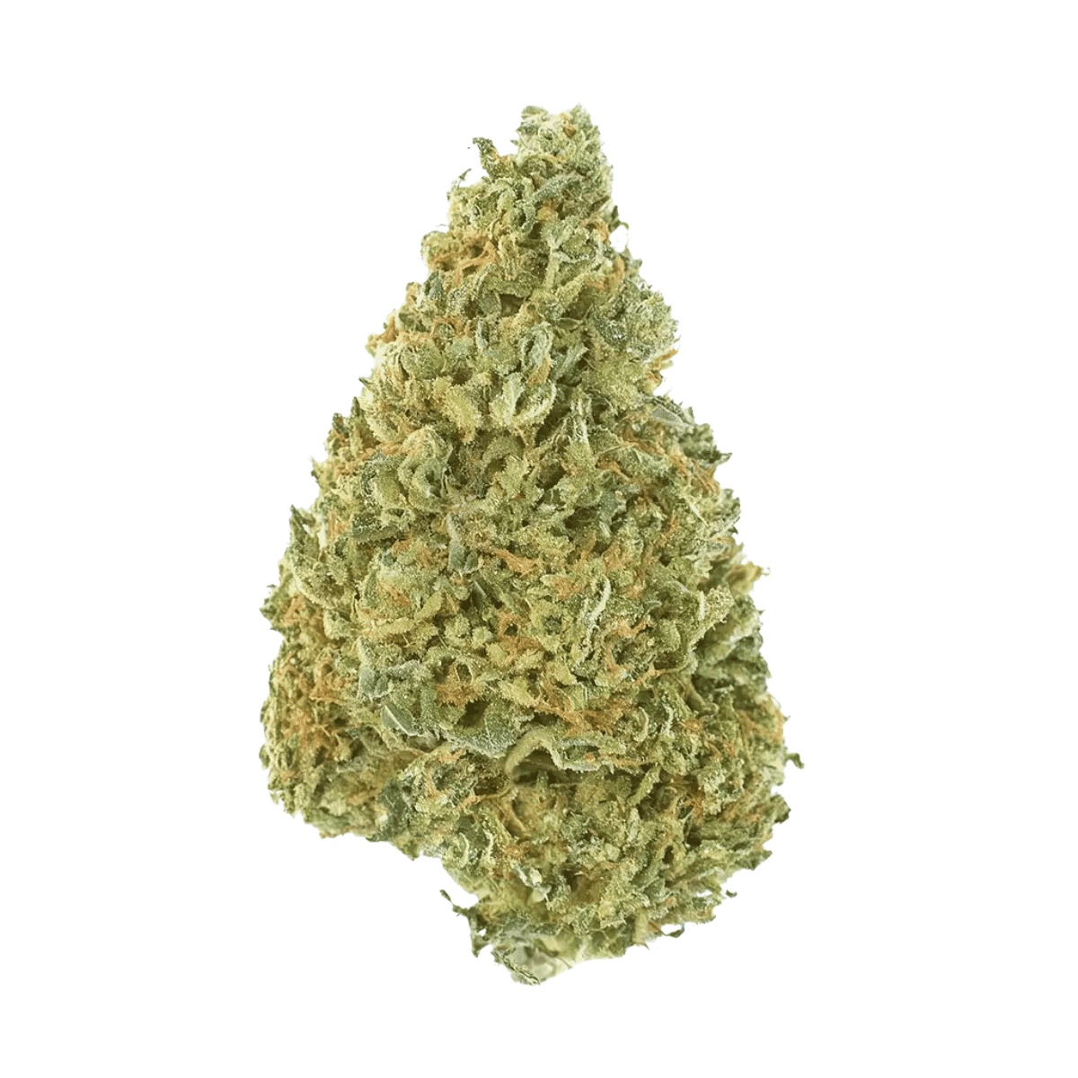 Demecan AV Regular Drop 25/1 - Citroli Demecan AV Regular Drop 25/1 - Citroli