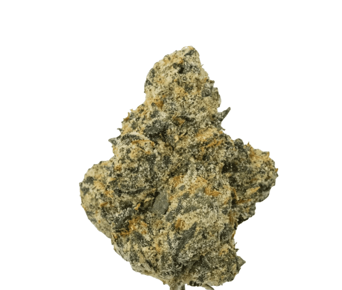 MC Regular Drop 25/1 - Divorce Cake x Jungle Cake