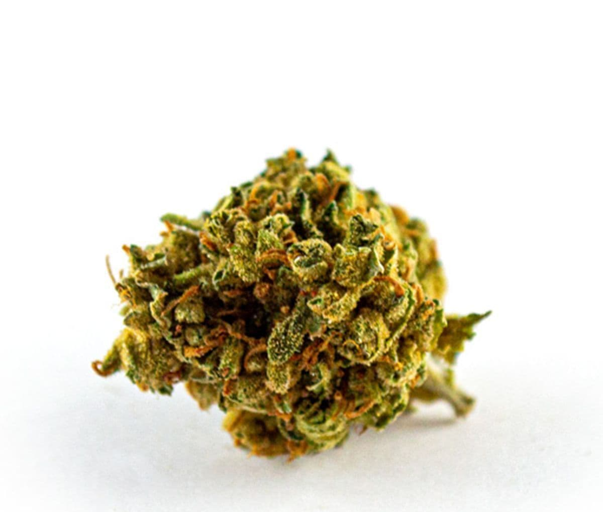 Tilray Craft THC 25 Jean Guy Tilray Craft THC 25 Jean Guy