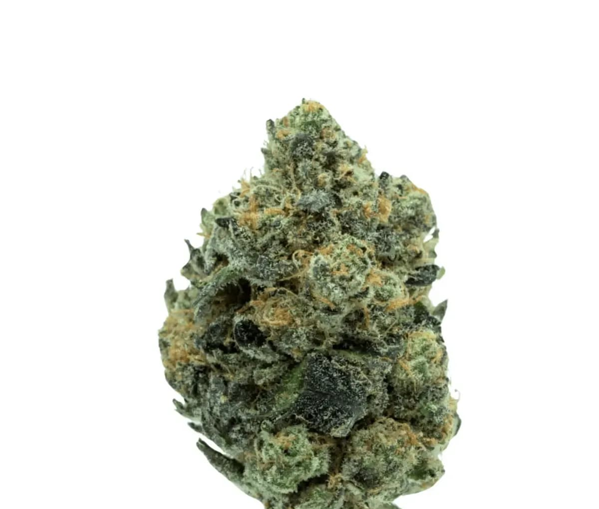 TRUU GT 30:01 - Cookies OG TRUU GT 30:01 - Cookies OG