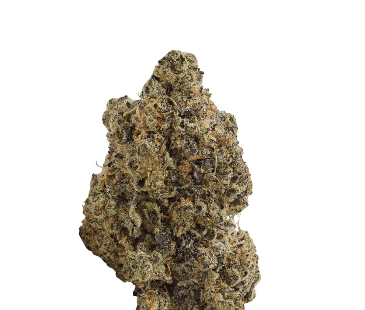 TRUU GT 27:01 - Crumbled Lime 27