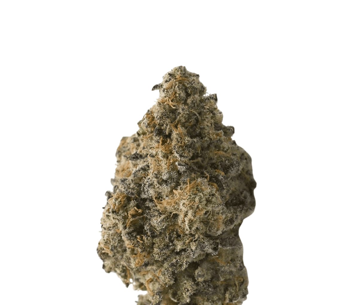 Tilray Craft Cannabisblüten THC28 CTB - Cactus Breath Tilray Craft Cannabisblüten THC28 CTB - Cactus Breath