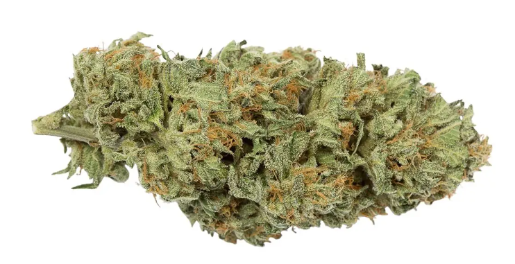 DEMECAN Typ 1 Bubba Kush