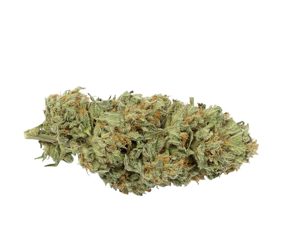 DEMECAN Typ 1 Bubba Kush DEMECAN Typ 1 Bubba Kush